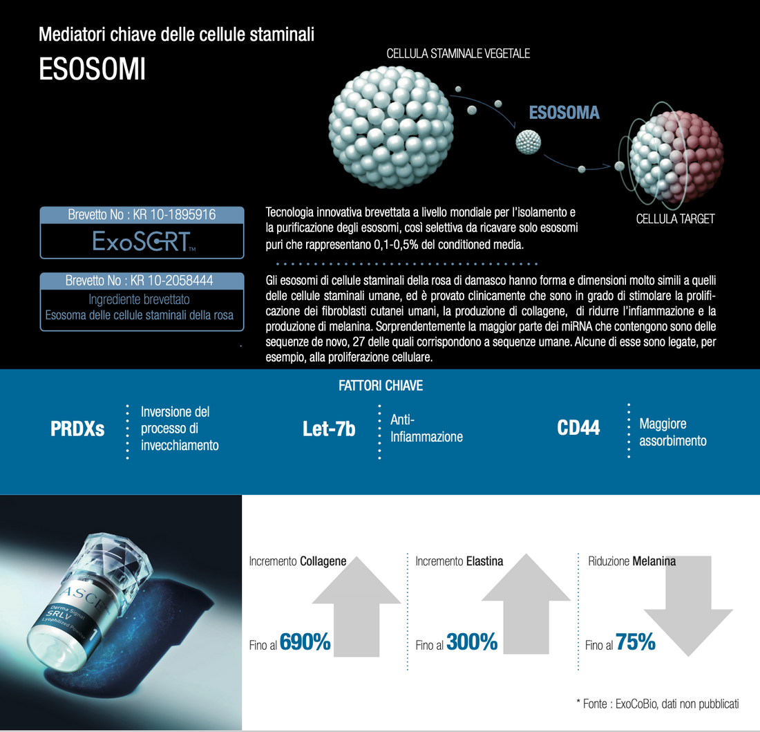 Microneedling con Esosomi ASCE Plus: Il Trattamento Rivoluzionario Disponibile da Oggi da Yanabeauté